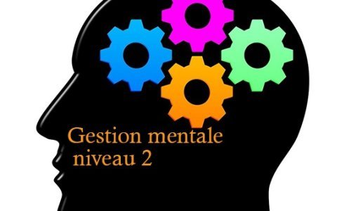 annulé - Gestion mentale - niveau 2